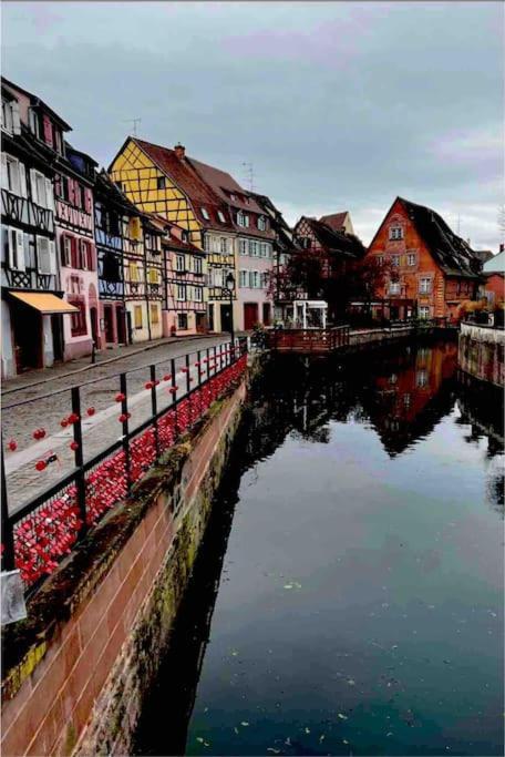La Jolie Maison Bleue, Au Coeur De L'Alsace Kaysersberg-Vignoble Eksteriør billede