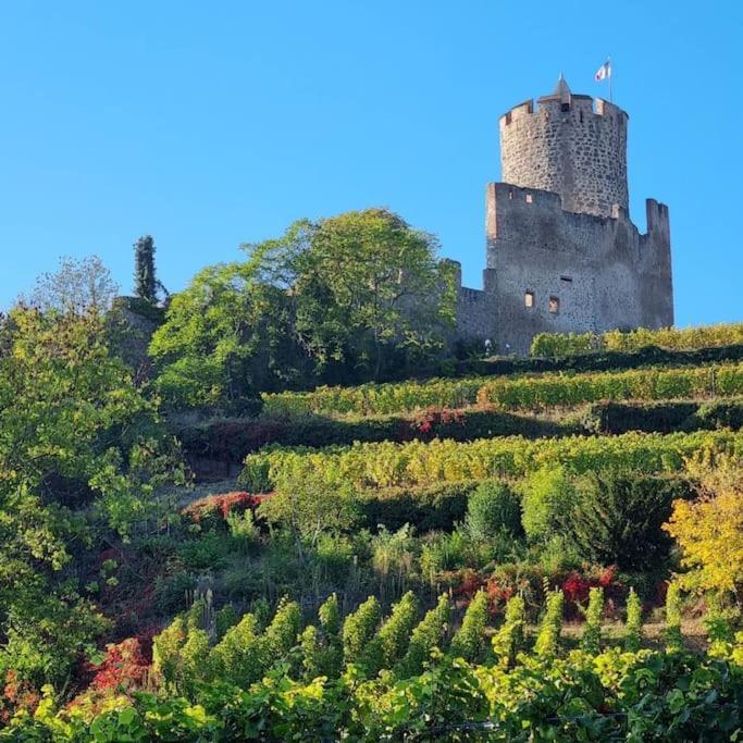 La Jolie Maison Bleue, Au Coeur De L'Alsace Kaysersberg-Vignoble Eksteriør billede