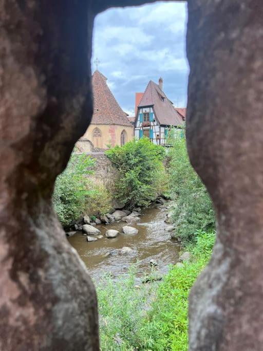 La Jolie Maison Bleue, Au Coeur De L'Alsace Kaysersberg-Vignoble Eksteriør billede
