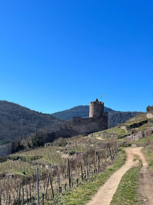 La Jolie Maison Bleue, Au Coeur De L'Alsace Kaysersberg-Vignoble Eksteriør billede